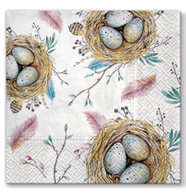 Paw Decor Collection Large Bird Nest with eggs 20 Count luncheon Napkins