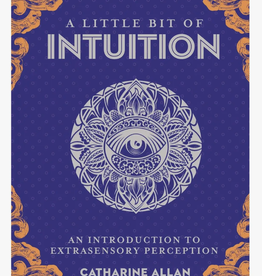 Union Square & Co. A Little Bit of Intuition Book