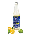Sparkling Apple Cider Vinegar