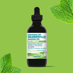 CHLOROPHYLLE Concentré Menthe 100ml