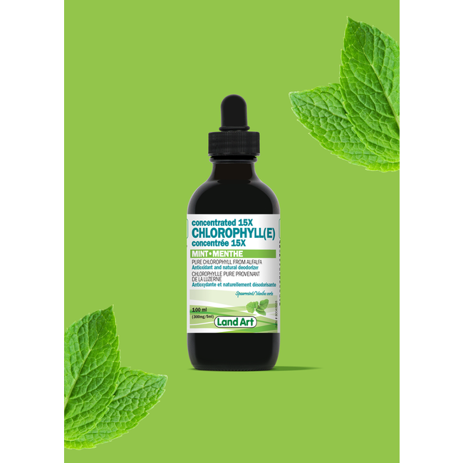 CHLOROPHYLLE Concentré Menthe 100ml