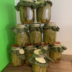 DESTINATION KETO Pois Mange Tout Marinés
