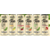 ZEVIA Organic Case of 12 (6 flavors)