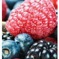 BREMNER'S Frozen fruit 300g (4 types)