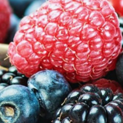 BREMNER'S Fruits Congelés 300g (4 types)