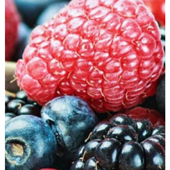 BREMNER'S Fruits Congelés 300g (4 types)