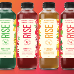 RISE KOMBUCHA 1g de Sucre 414 ml ( plusieurs Saveurs)
