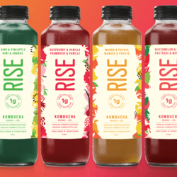 RISE KOMBUCHA 1g Sugar 414 ml (several flavours)