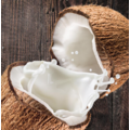 CHA'S Lait de Coco bio 400ml (plusieurs choix)