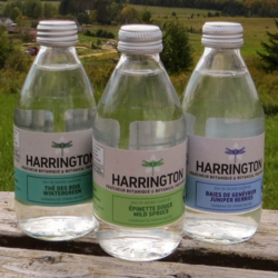 HARRINGTON Fraîcheur Botanique 6x250ml