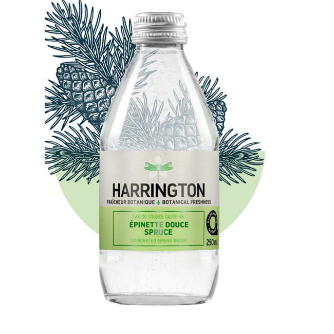 HARRINGTON Fraîcheur Botanique 6x250ml