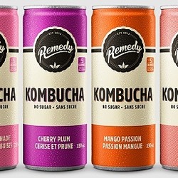 REMEDY Kombucha Canettes 4x330ml (6 saveurs)