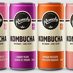 REMEDY Kombucha Cans 4x330ml (6 Flavours)