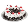 CÉTONSTYLE CÉTONSTYLE Gâteau/Muffin/Pain 360g