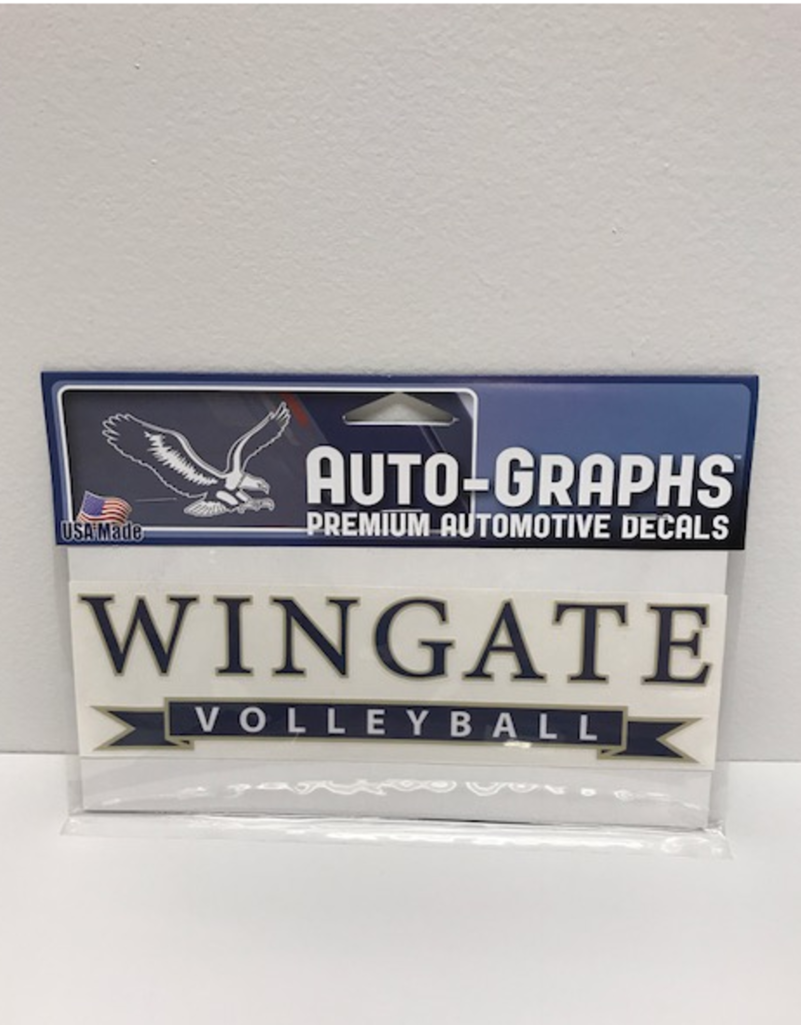 Color Shock 7.5" x 2.5" Volleyball Banner Decal