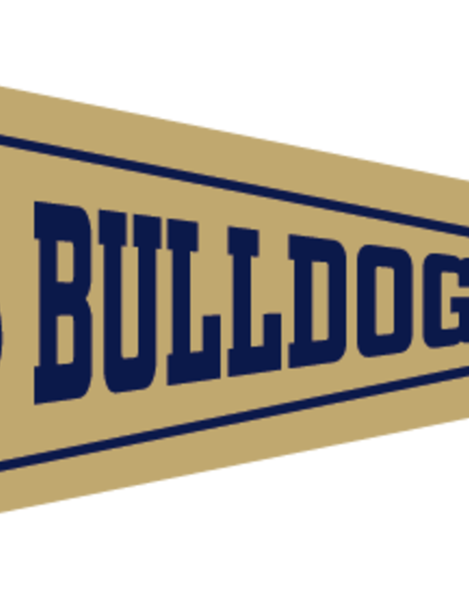 Collegiate Pacific 6 x 15 Vegas Gold Dog Head Bulldogs Wingate Pennant