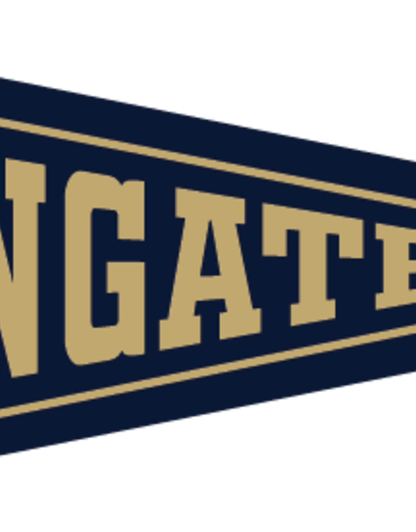 Collegiate Pacific 6 x 15 Navy Wingate Pennant