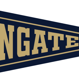 Collegiate Pacific 6 x 15 New Navy Wingate Pennant