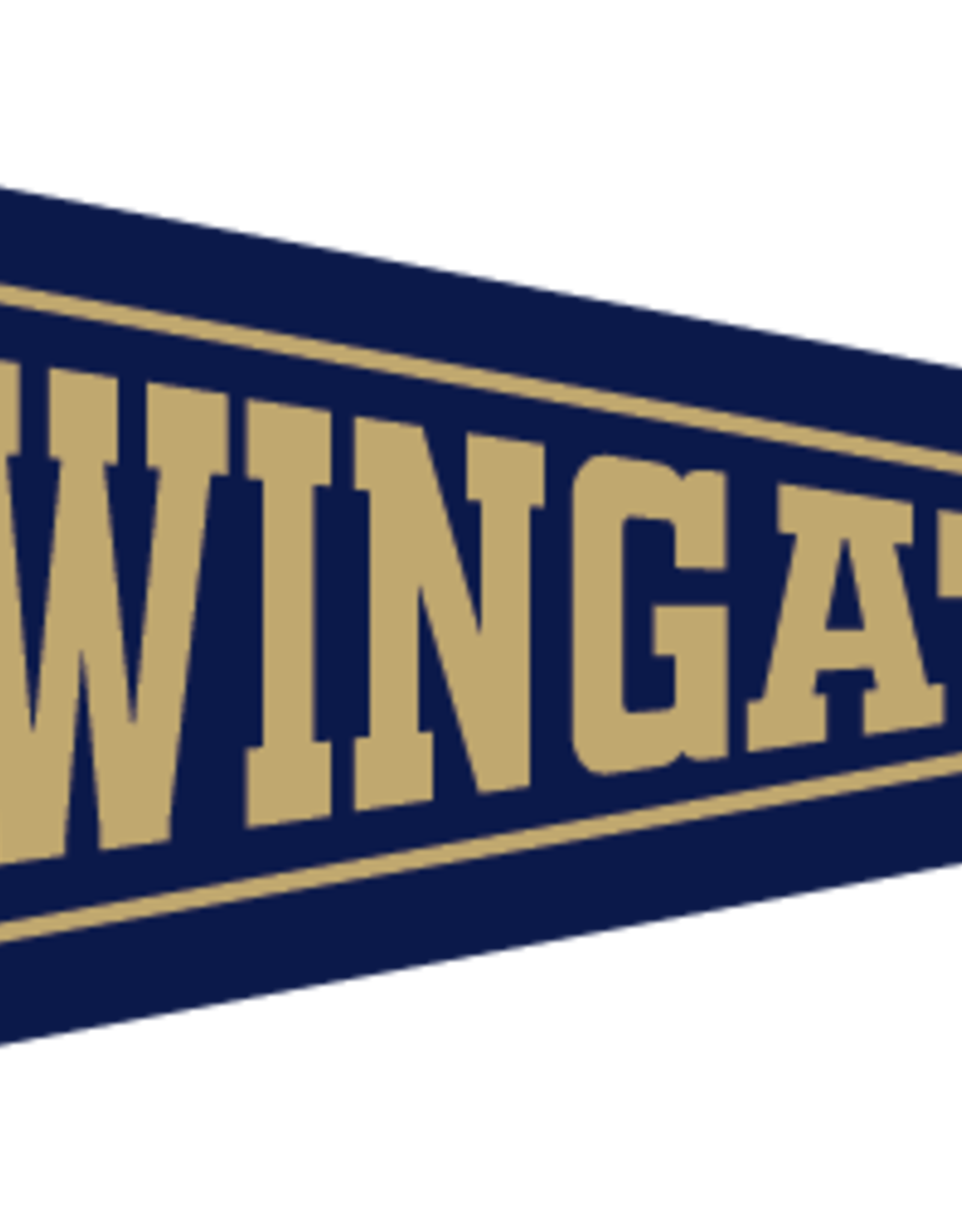 Collegiate Pacific 9 x 24 Navy Dog Head Bulldogs Wingate Pennant