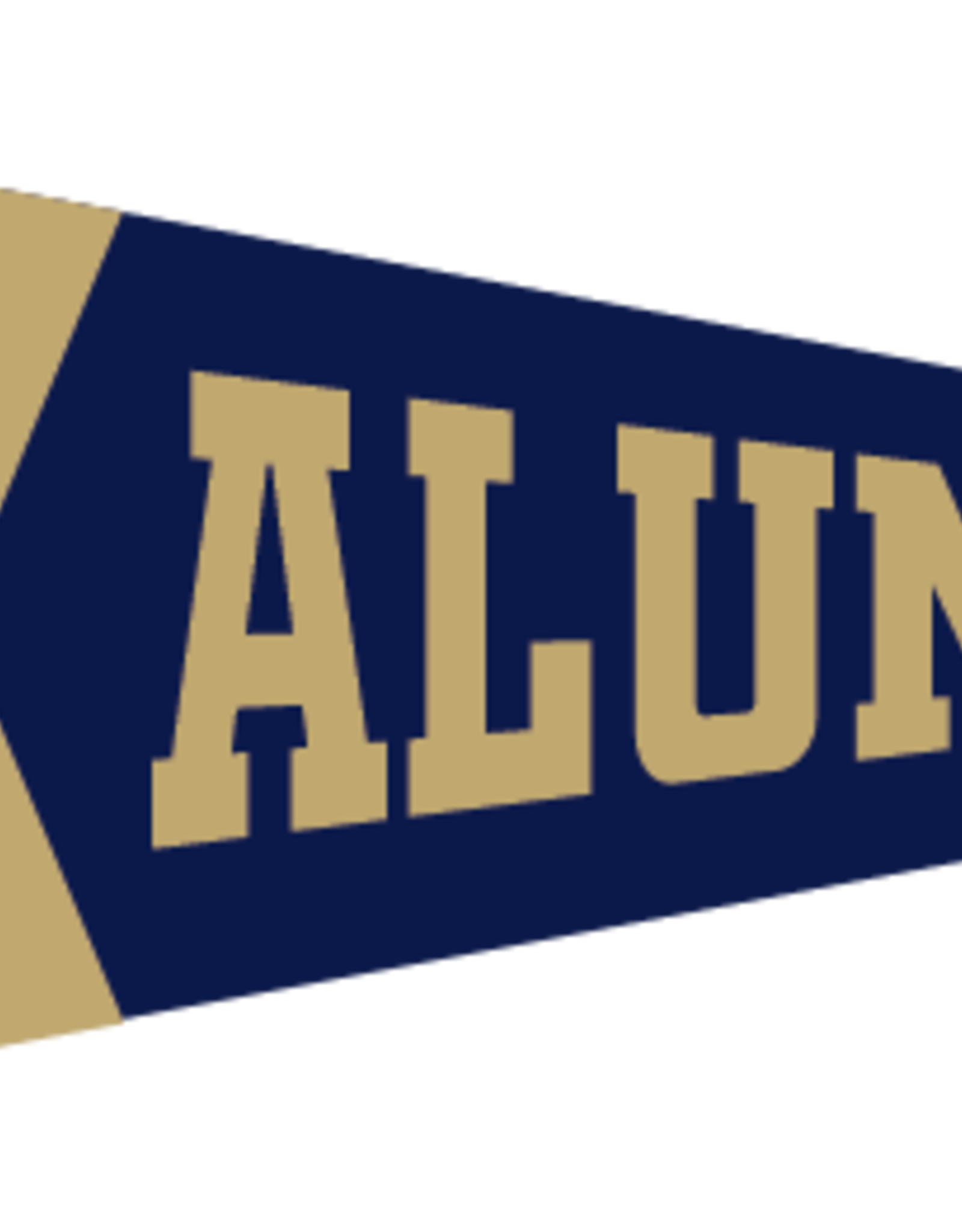 Collegiate Pacific 12 x 30  Seal Alumni Flock Pennant