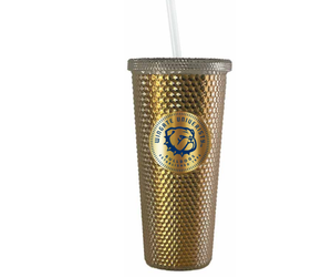 Spirit 24oz Gold Galway Metallic Starbucks Look-alike Tumbler With Straw -  Wingate Outfitters