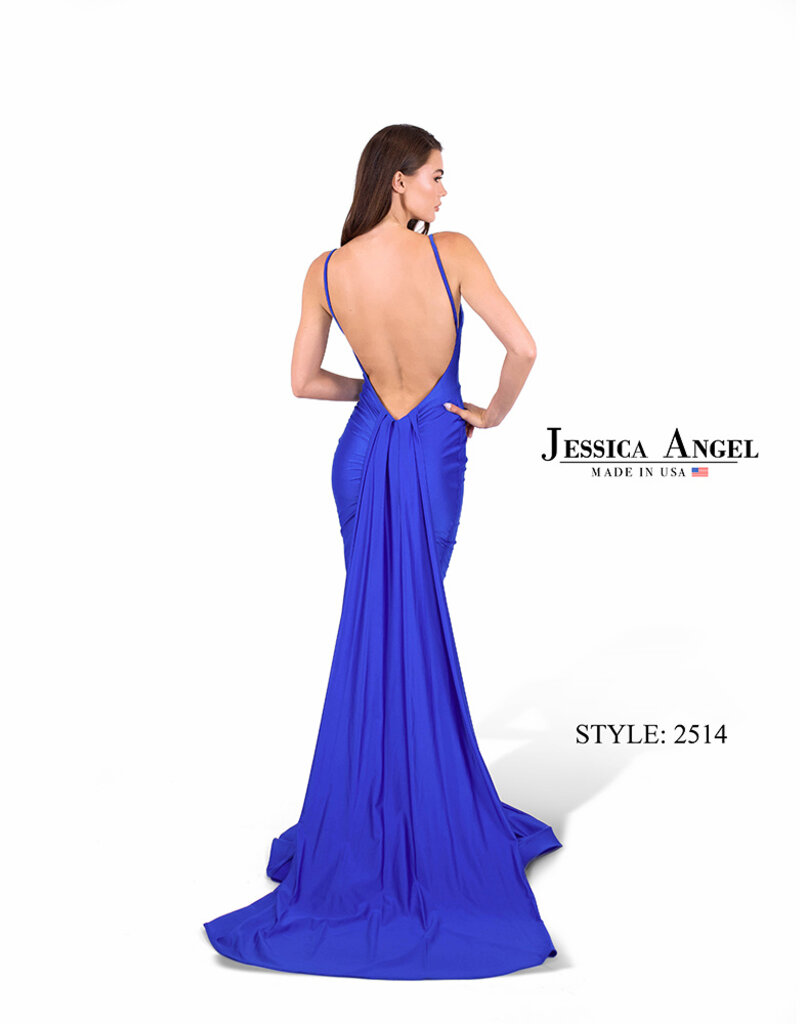Fitted Formal Gown with Low Back and Train