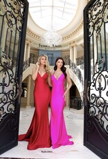 Sleeveless Formal Gown with Deep V Neckline, Sweep Train and Open Back
