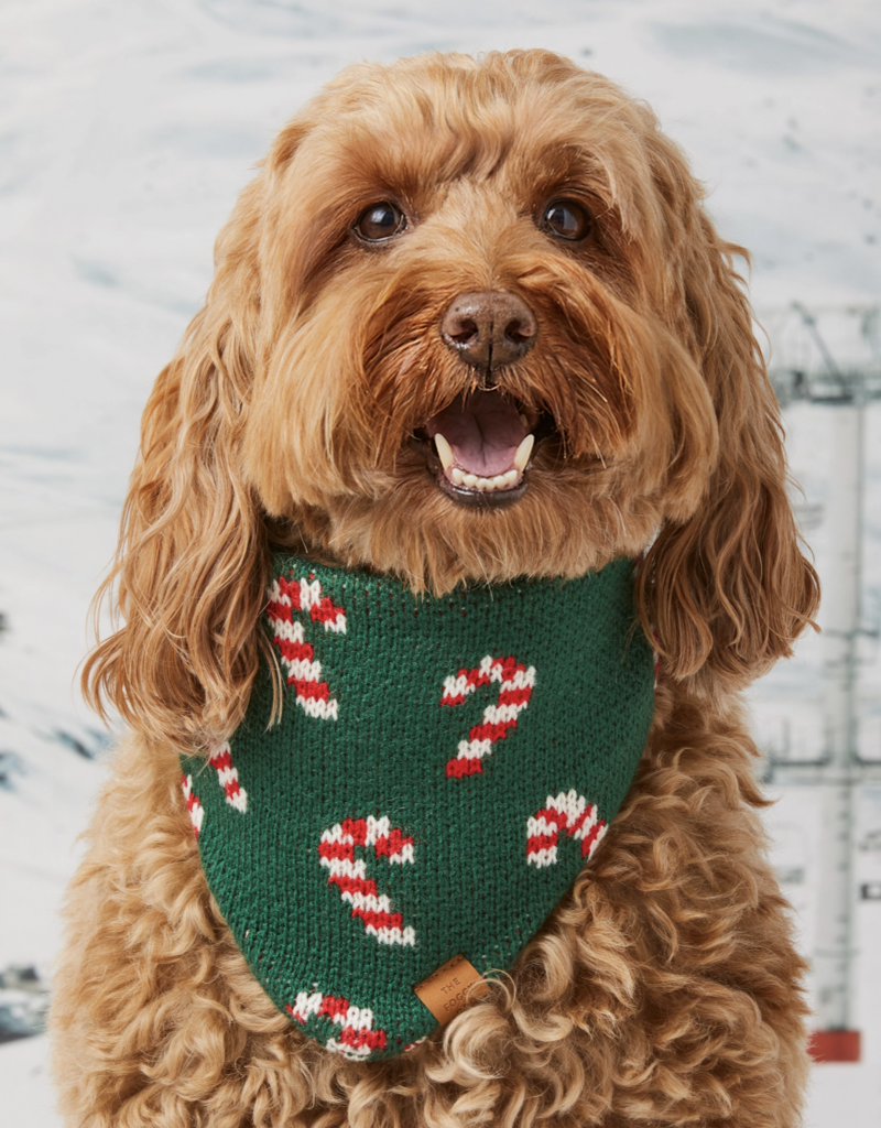 Foggy Dog Foggy Dog Candy Cane Knit Bandana