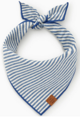 Foggy Dog Foggy Dog  Banadana