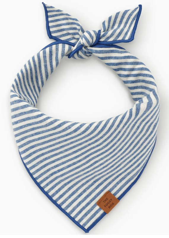 Foggy Dog Foggy Dog  Banadana