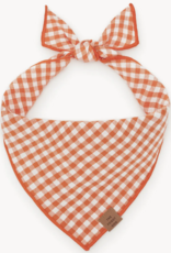 Foggy Dog Foggy Dog  Banadana