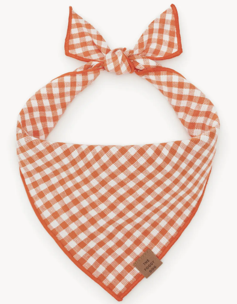 Foggy Dog Foggy Dog  Banadana