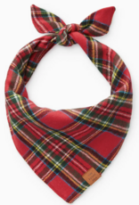 Foggy Dog Foggy Dog  Banadana