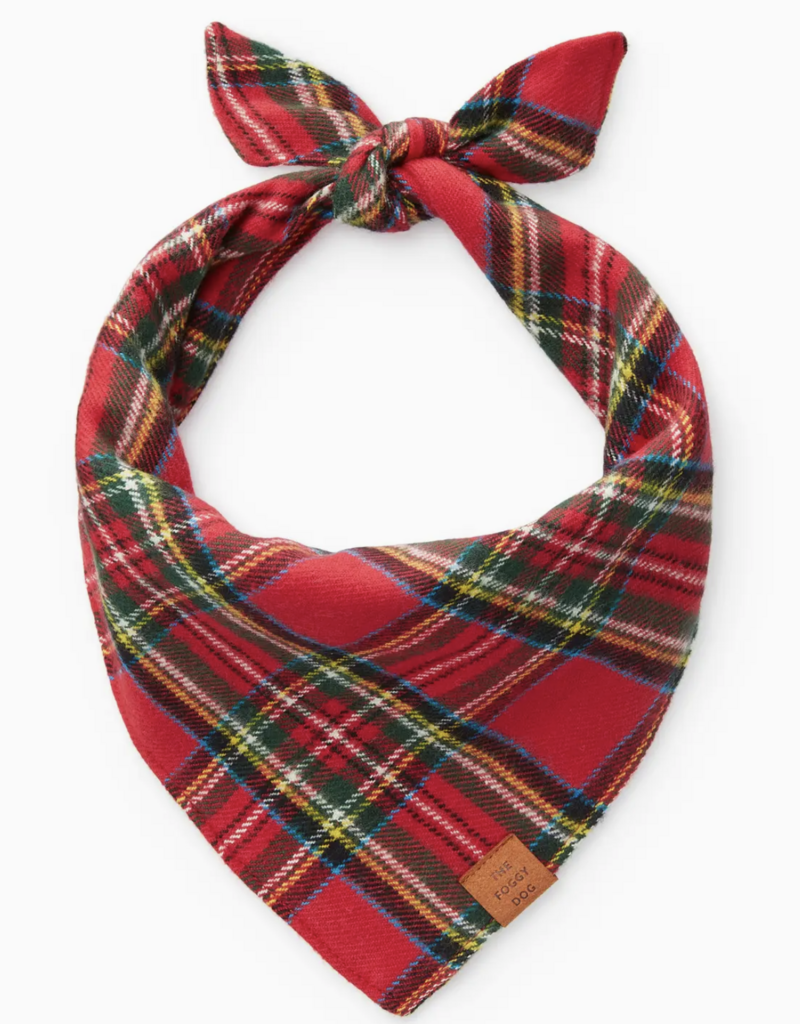 Foggy Dog Foggy Dog  Banadana