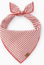 Foggy Dog Foggy Dog  Banadana