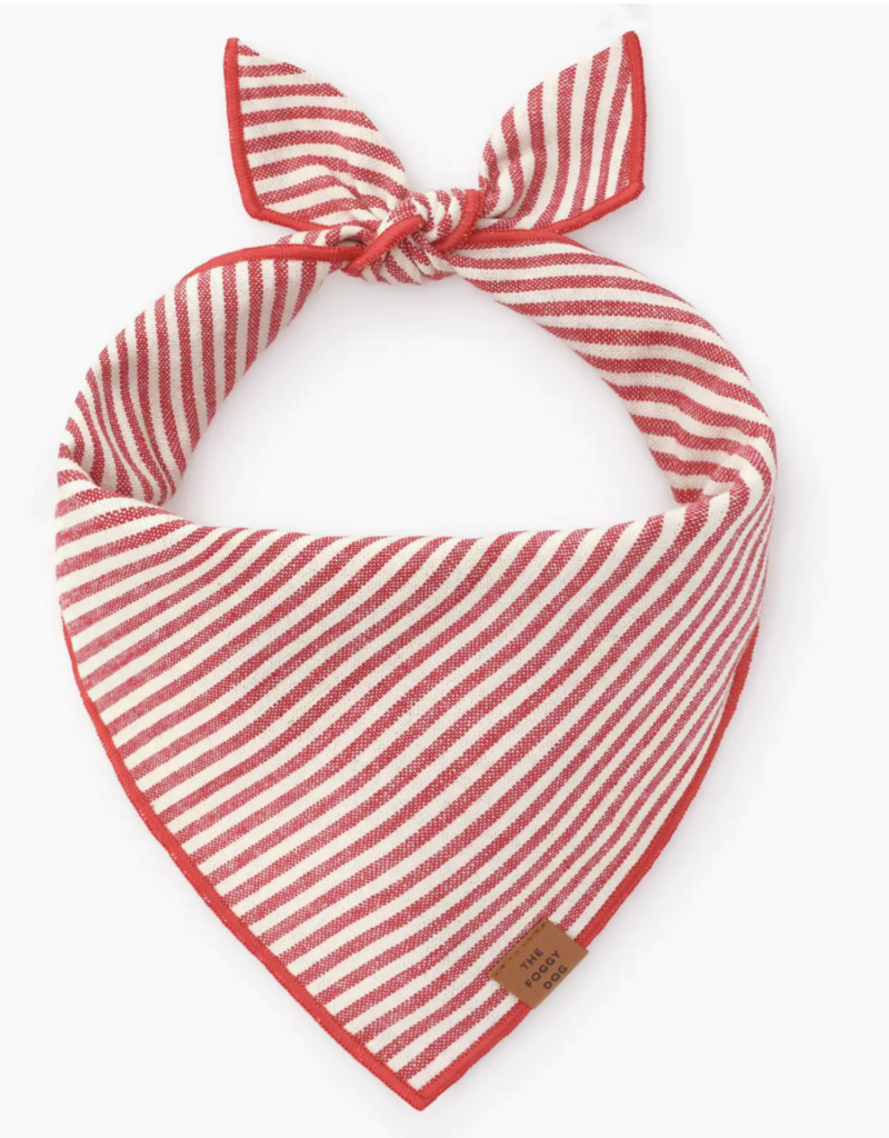 Foggy Dog Foggy Dog  Banadana