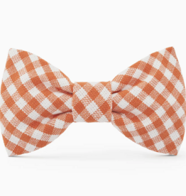 Foggy Dog Foggy Dog Bow Tie