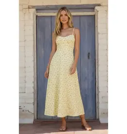 klesis Klesis Floral Twill A Line Midi Dress