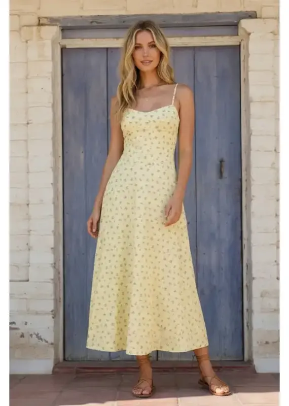 klesis Klesis Floral Twill A Line Midi Dress