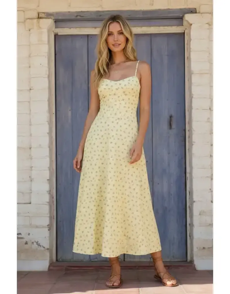 klesis Klesis Floral Twill A Line Midi Dress