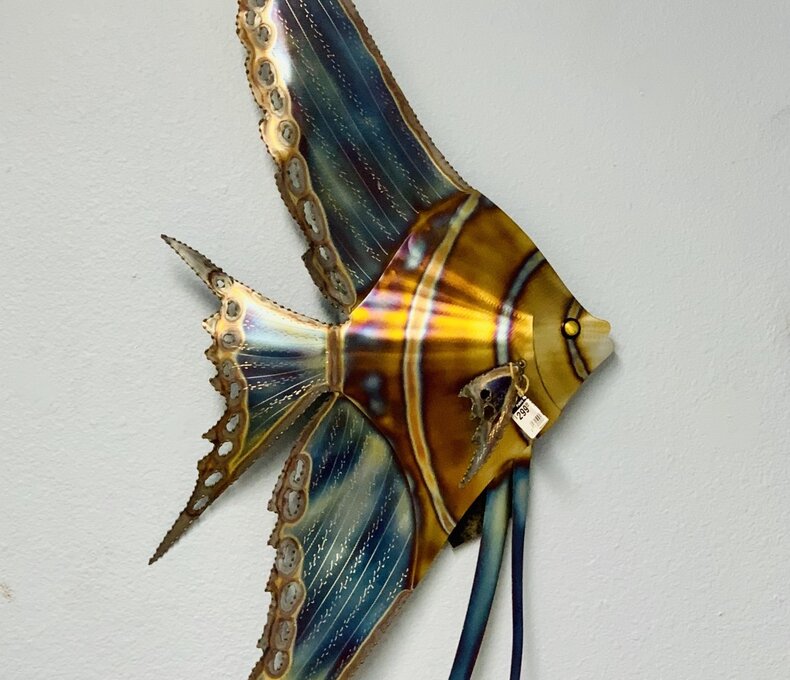 ANGELFISH (FACE RIGHT)