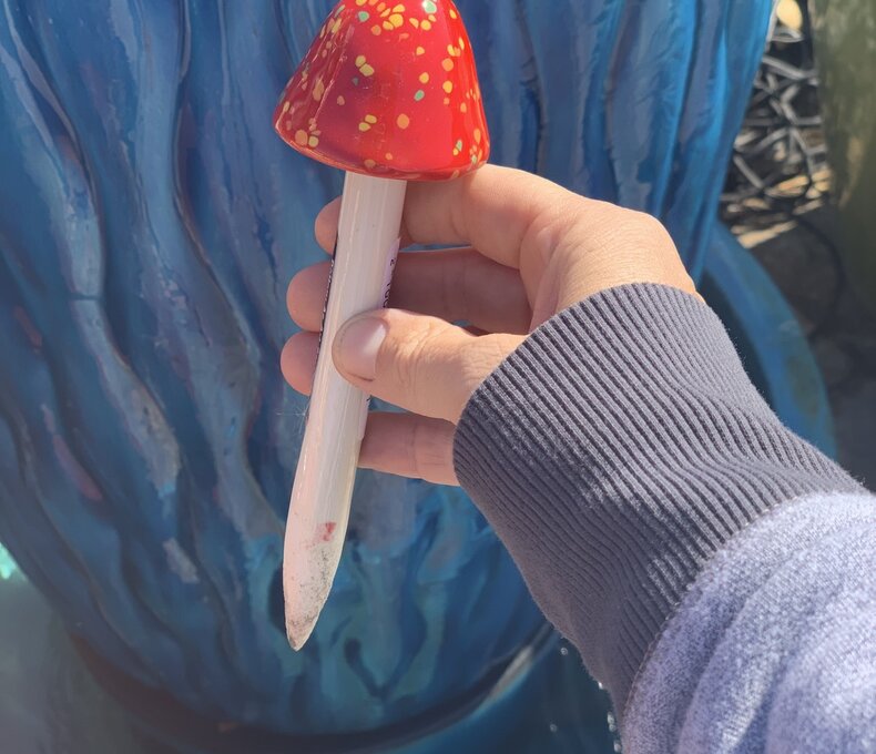 Shroomyz Mini Assorted