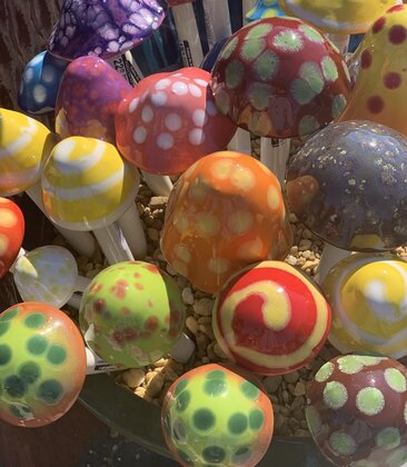 Shroomyz Mini Assorted