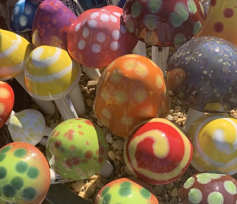 Shroomyz Mini Assorted