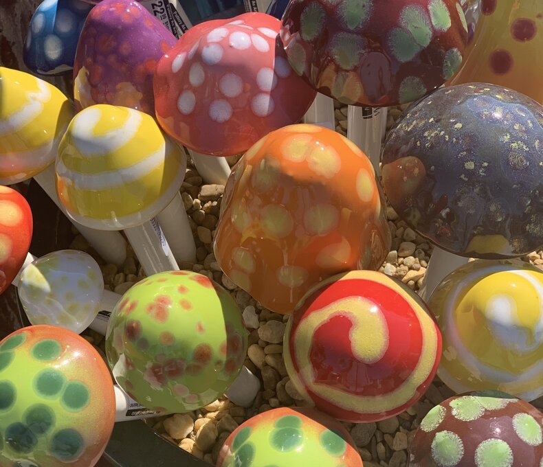 Shroomyz Mini Assorted