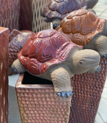 PAINTED SHELL TORTUGA