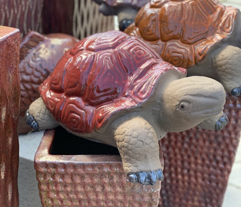 PAINTED SHELL TORTUGA