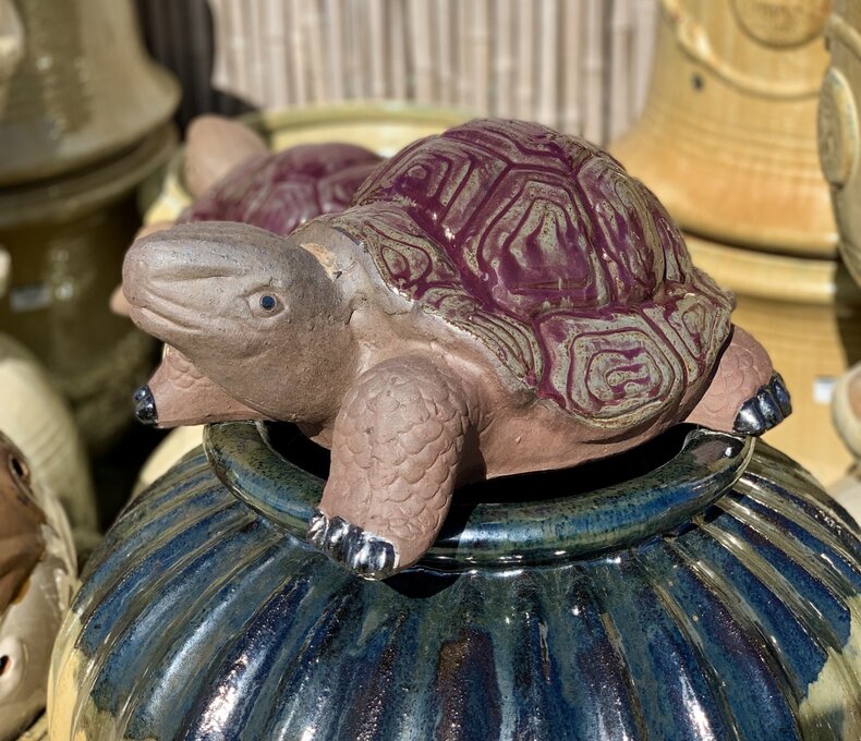 PAINTED SHELL TORTUGA