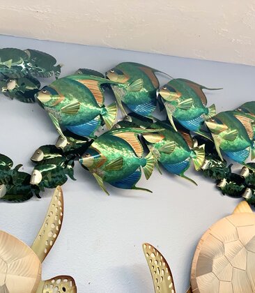 Angelfish School With Tangs