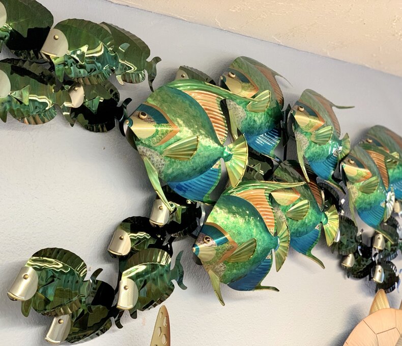 Angelfish School With Tangs